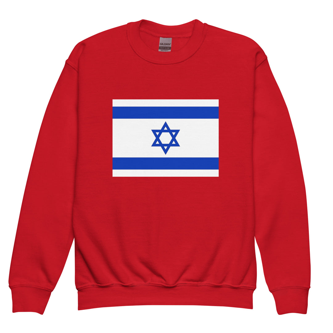 Youth Sweatshirt | Israel Flag